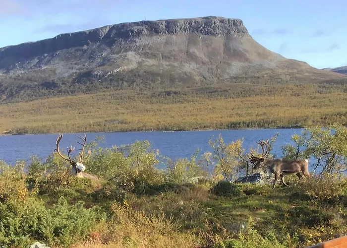 Saanaloma By Interhome Dom wakacyjny